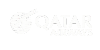 Qatar Airways Logo - White Transparent